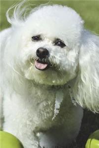The Bichon Frise Dog Journal