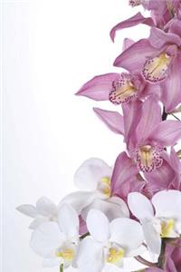 MindBlowing Orchid Journal 5