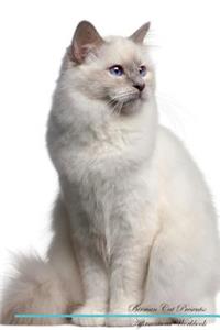 Birman Cat Affirmations Workbook Birman Cat Presents