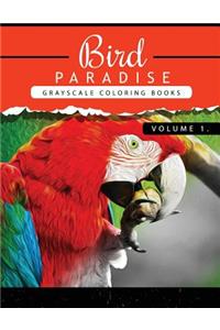 Bird Paradise Volume 1