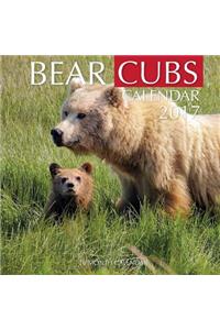 Bear Cubs Calendar 2017