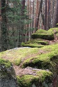 Rustic Mossy Stone Wall and Trees in Alsace France Journal