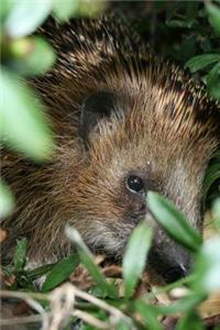 Adorable Little Hedgehog Hiding in the Hedge Journal: 150 Page Lined Notebook/Diary