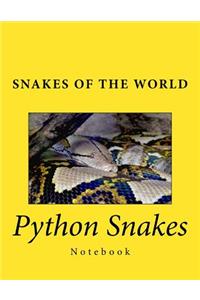 Python Snakes