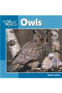 Owls