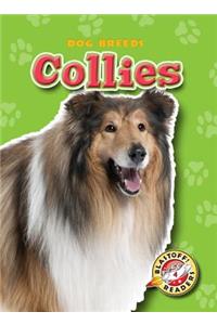 Collies