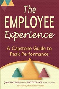 Employee Experience: A Capstone Guide to Peak Performance