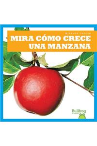 Mira Cómo Crece Una Manzana (Watch an Apple Grow)