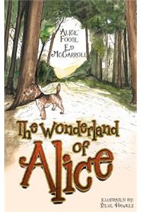 The Wonderland of Alice