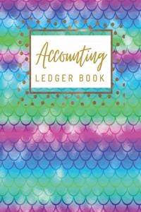 Accounting Ledger Book