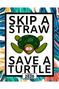 Skip A Straw Save A Turtle