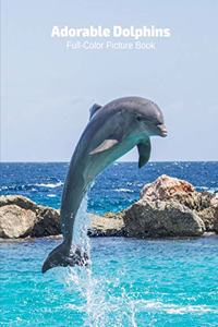 Adorable Dolphin Full-Color Picture Book