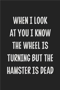 When I Look at You I Know the Wheel is Turning but the Hamster is Dead