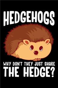 Hedgehogs Why Don't They Just Share The Hedge?