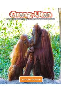 Orang-Utan