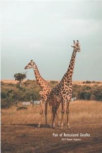 Pair of Reticulated Giraffes 2019 Planner Organizer