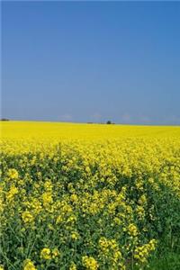 Oilseed Notebook