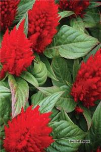 Journal Pages - Red Green Flower (Unruled)