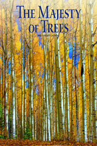 Majesty of Trees, the 2023 Square