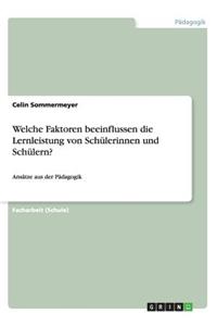 Welche Faktoren beeinflussen die Lernleistung von Schülerinnen und Schülern?: Ansätze aus der Pädagogik