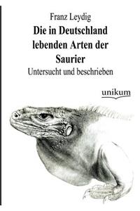 in Deutschland lebenden Arten der Saurier