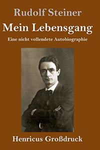 Mein Lebensgang (Großdruck)