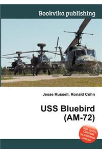 USS Bluebird (Am-72)