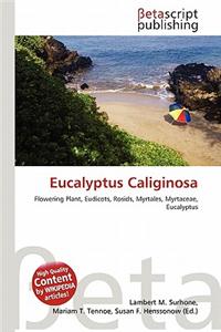 Eucalyptus Caliginosa