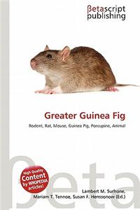 Greater Guinea Fig