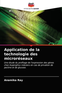 Application de la technologie des microréseaux