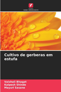 Cultivo de gerberas em estufa