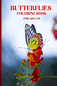Butterflies Coloring Book