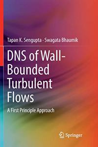 DNS of Wall-Bounded Turbulent Flows