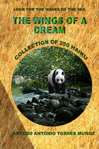 The Wings of a Dream