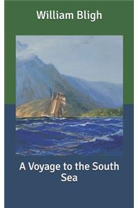 A Voyage to the South Sea