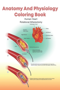 Anatomy And Physiology Coloring