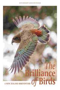 BRILLIANCE OF BIRDS