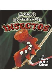 El Ciclo de Vida de Los Insectos (Insect Life Cycles)