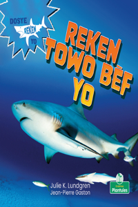 Reken Towo Bèf Yo (Bull Sharks)
