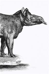 Notizbuch für Kreative