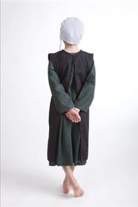 Rebecca's Amish Life