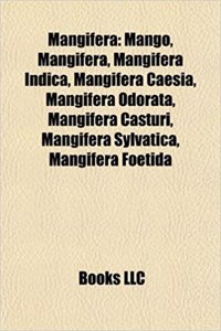 Mangifera: Mango, Mangifera Indica, Mangifera Caesia, Mangifera Odorata, Mangifera Casturi, Mangifera Sylvatica, Mangifera Foetid