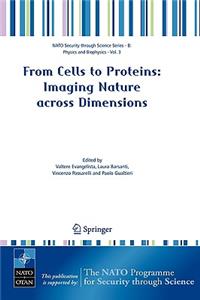 From Cells to Proteins