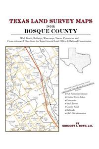 Texas Land Survey Maps for Bosque County