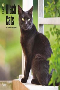 Black Cats 2017 Calendar