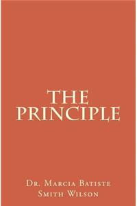 Principle