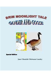 Gander and Goose
