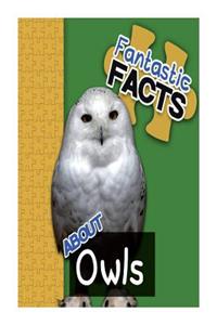 Fantastic Facts about Owls