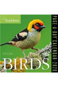 Audubon Birds Page-A-Day Calendar 2020