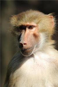Baboon Journal